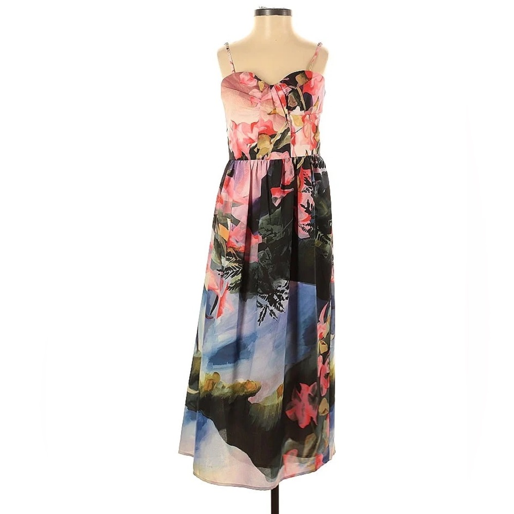 Anthropologie Corey Lynn Calter Midi Print Dress